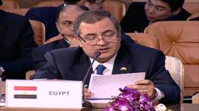 Egipto pide mayores cooperaciones entre los productores de gas