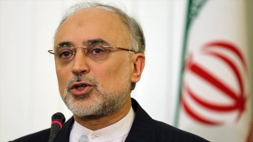 El jefe de la Organización de Energía Atómica de Irán (OEAI), Ali Akbar Salehi.