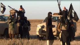 EEUU: EIIL se enfrenta a erosión de fuerzas en Irak