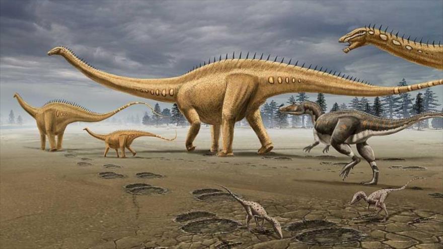 Hallan en Escocia cientos de huellas de dinosaurios de 170 millones de años  | HISPANTV