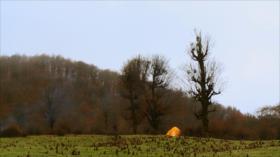 Irán - 1. Arte para todos 2. Bosque de Alimastan 3. Fabricación de vela