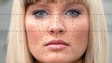 Rostro humano ha evolucionado en función del tamaño del cerebro