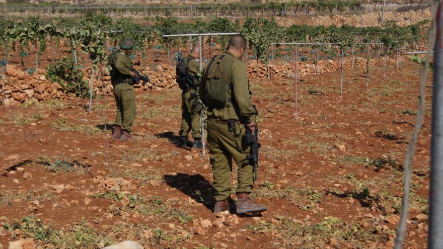 Soldados israelíes destruyen las tierras de cultivo de palestinos en la ciudad de Beit Ommar, en los territorios ocupados, septiembre de 2011.