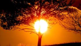 ‘El año 2016 batirá el récord de calor de 2015’