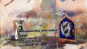 Oasis Literario - Mohammad Reza Shafií Kadkani - 01