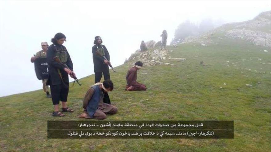 Video: Imágenes impactantes de ejecuciones de Daesh en Afganistán
