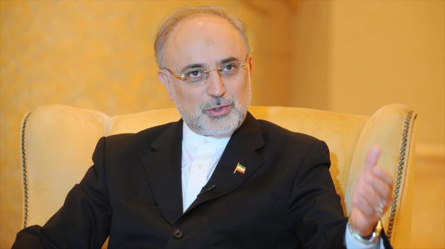 El jefe de la Organización de Energía Atómica de Irán (OEAI), Ali Akbar Salehi.