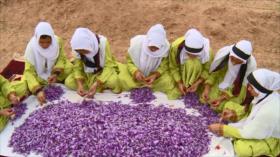 Irán - 1. Exposición de artes visuales 2. Bazar de Teherán 3. protección de los animales 4. productos agrícolas en Biryand
