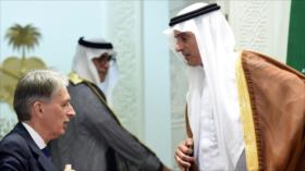 ‘Londres ignora situación de DDHH en Riad por beneficios financieros’