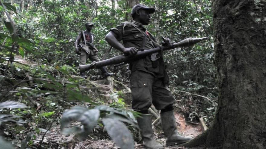 Fuerzas Democráticas de Liberación de Ruanda (FDLR).