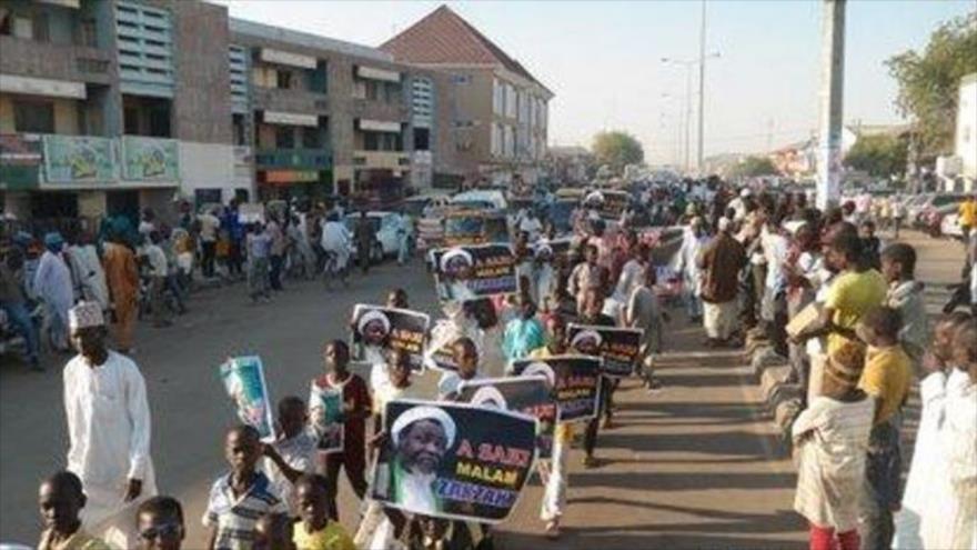 Los nigerianos marchan para exigir la libertad del clérigo chií Ibrahim al-Zakzaky, en el estado Kano (norte), 9 de enero de 2016.