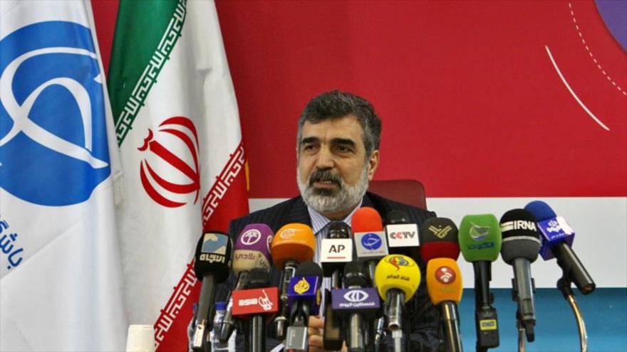 El portavoz de la Organización de Energía Atómica de Irán (OEAI), Behruz Kamalvandi.