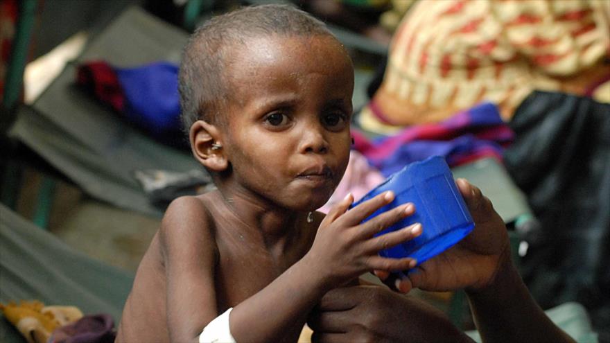14 millones de personas se enfrentan al hambre en el sur de África debido a la sequía.