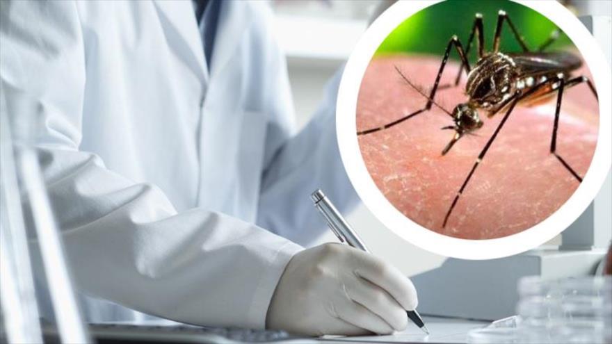 Gobierno colombiano pide a las parejas evitar embarazo por virus Zika.