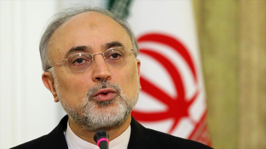El jefe de la Organización de Energía Atómica de Irán (OEAI), Ali Akbar Salehi.
