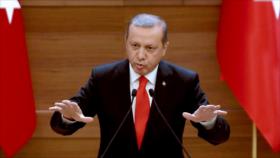 Erdogan arremete contra académicos por criticar campaña contra PKK