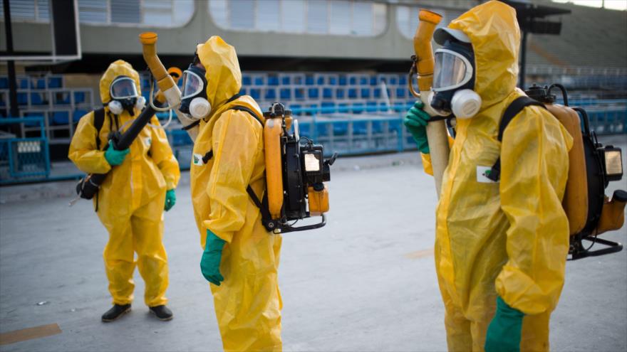 Alerta mundial por estragos del temible virus de Zika