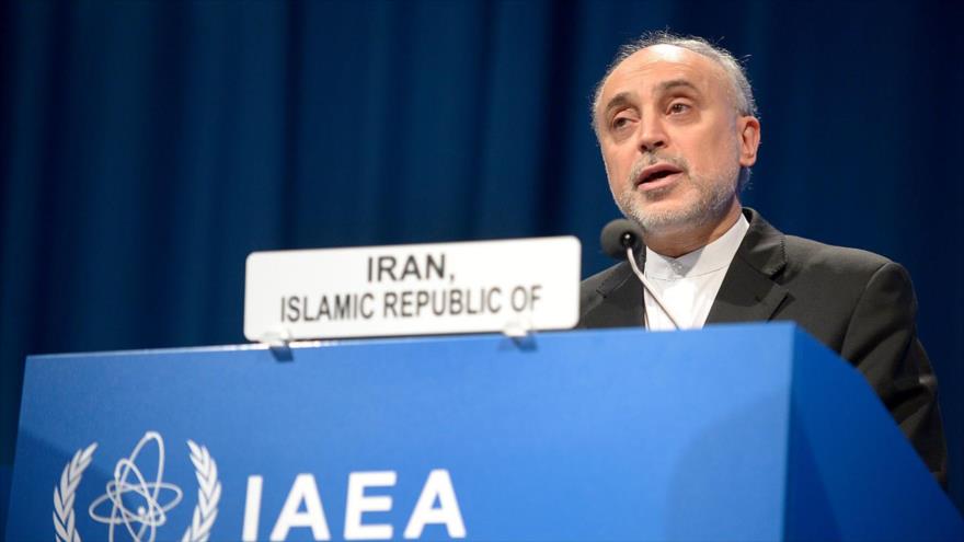 Jefe de la Organización de Energía Atómica de Irán (OEAI), Ali Akbar Salehi.