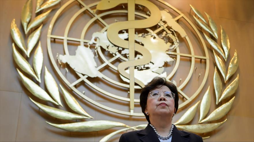 OMS evalúa declarar emergencia sanitaria mundial por virus Zika