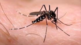 El zika no supone un peligro para turistas de Rio 2016