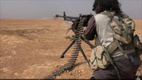 Daesh pierde 60 % de sus feudos en Irak y Siria