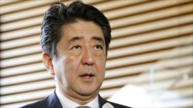 Expertos japoneses creen que las Fuerzas de Autodefensa violan la Constitución