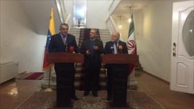 Irán apoya esfuerzos de Venezuela para estabilizar mercado del petróleo