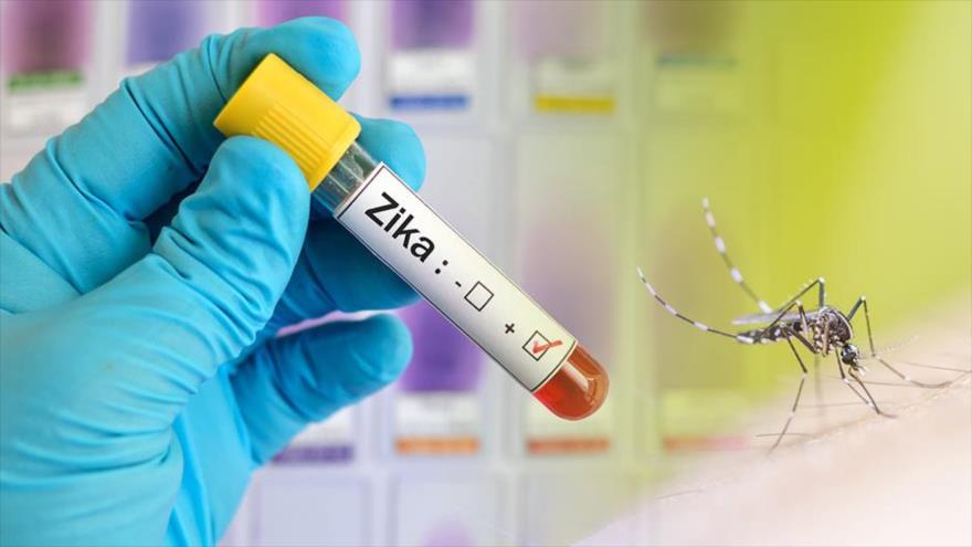 España confirma el primer caso de Europa de zika en una mujer embarazada.
