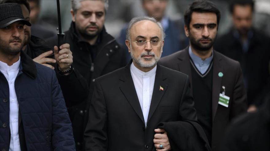 El jefe de la Organización de Energía Atómica de Irán (OEAI), Ali Akbar Salehi (centro).