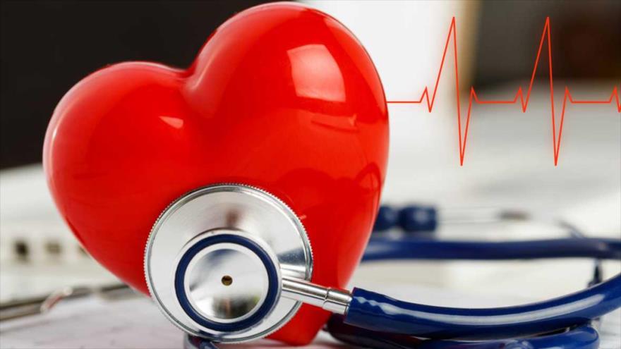 Científicos descubren un mecanismo molecular que regula la forma en la que el corazón bombea sangre.