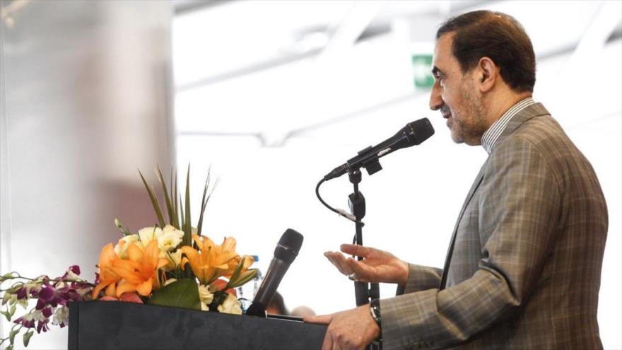 Ali Akbar Velayati, el asesor para Asuntos Internacionales del Líder de la Revolución Islámica de Irán.