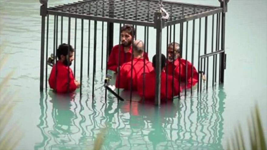 Cinco personas puestas en una jaula y ahogadas por espiar contra el grupo terrorista EIIL (Daesh, en árabe).