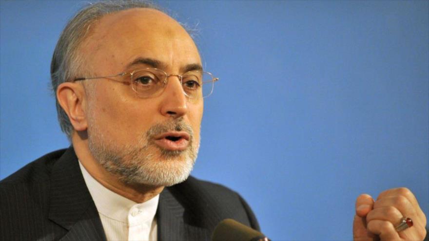 El jefe de la Organización de Energía Atómica de Irán, Ali Akbar Salehi. 