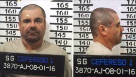 El Chapo pide agilizar su extradición a EEUU