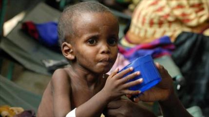 En 2050 no habrá comida suficiente en el planeta