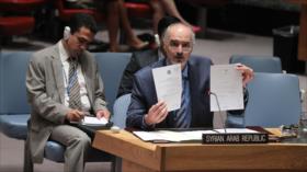 Al-Yafari: La ONU debe evitar parcialidad respecto al Gobierno sirio y la operación rusa