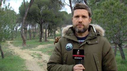 Ayuntamiento de Madrid retira herbicidas con glifosato de los parques y jardines