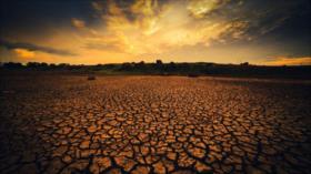 El febrero más cálido de la historia activa las alarmas climáticas