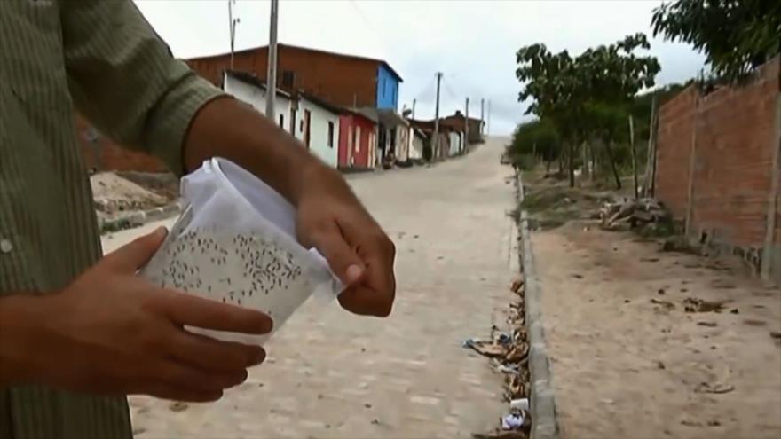 Cámara al Hombro - La epidemia del Zika