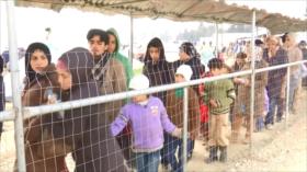 Continúa la crisis de refugiados en Europa 