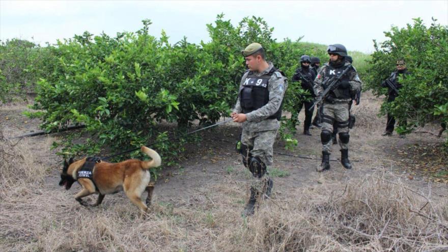 La Policía mexicana busca los cuerpos de los jóvenes desaparecidos en el estado suroriental de Veracruz, enero de 2016.