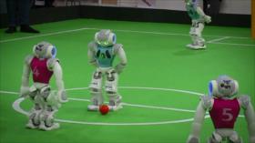 Irán Hoy - Los avances alcanzados por Irán en la robótica