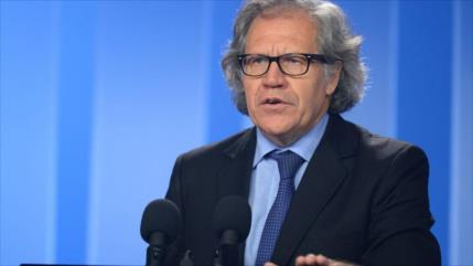 OEA pide derecho de participación para candidatos en Perú