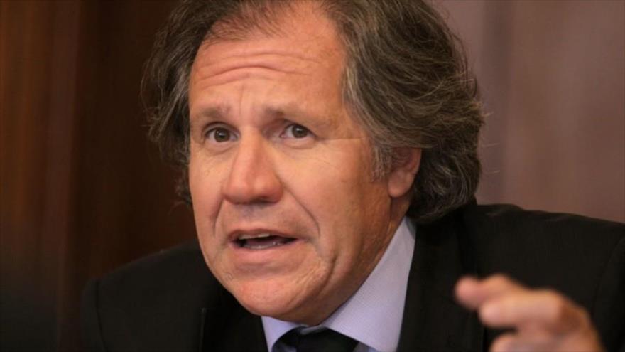 El secretario general de la Organización de Estados Americanos (OEA), Luis Almagro.