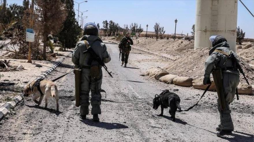 	Especialistas rusos desplegados en Palmira, centro de Siria, para desactivar las minas dejadas por el grupo terrorista EIIL (Daesh, en árabe), 2 de abril de 2016.