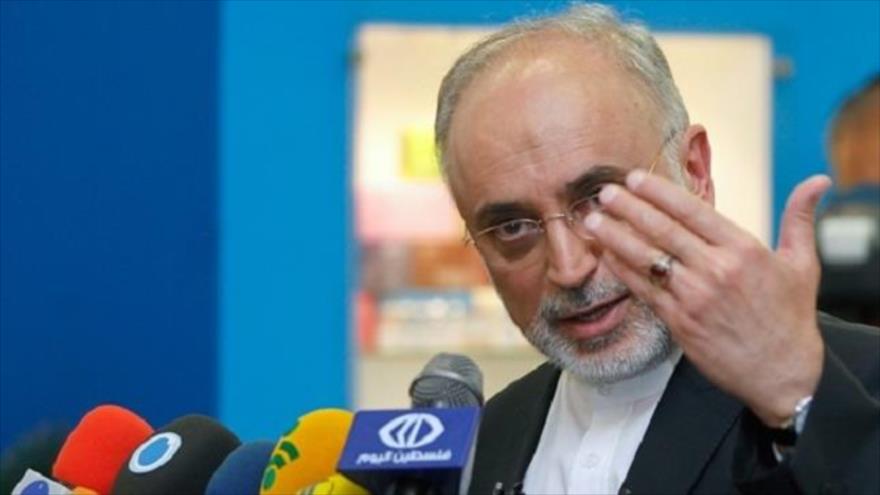 El jefe de la Organización de Energía Atómica de Irán (OEAI), Ali Akbar Salehi.