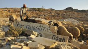 UNRWA: Demoliciones israelíes dejan a 31 palestinos sin hogar