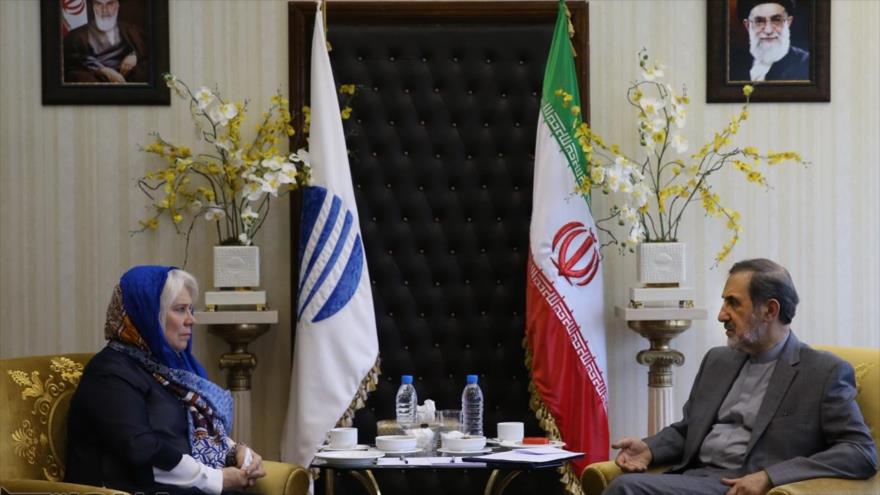 El director del Centro de Estudios Estratégicos del Consejo de Discernimiento del Sistema de la República Islámica de Irán, Ali Akbar Velayati, se reúne con la ministra de Exteriores de Estonia, Marina Kaljurand, en Teherán, capital del país persa, 10 de abril de 2016.