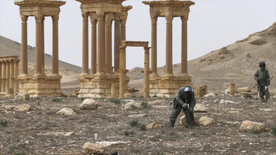 Zapadores rusos buscan minas dejadas por Daesh en la ciudad siria de Palmira.
