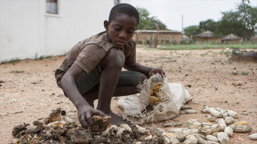 El fenómeno climático de El Niño causa en el sur de África la peor hambruna desde 2005.